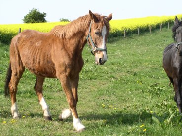 Dissy 02-05-2009