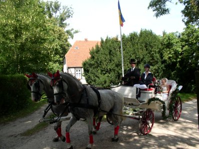 Hochzeitskutsche 08-08-2009