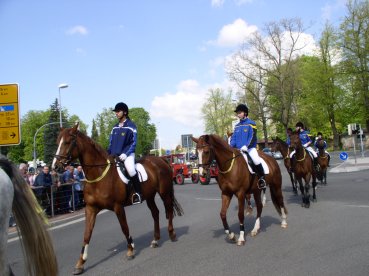 Umzug Rapsbl�tenfest 03-05-2008-2