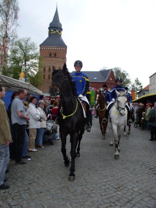 Umzug Rapsbl�tenfest 03-05-2008-4