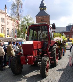 Umzug Rapsbl�tenfest  03-05-2008-5