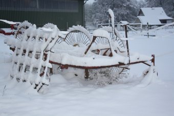 Winter 04-11-2009-1