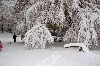 Winter 04-11-2009-34