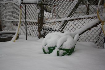 Winter 04-11-2009-40