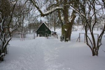 Winter 30-01-2010-17