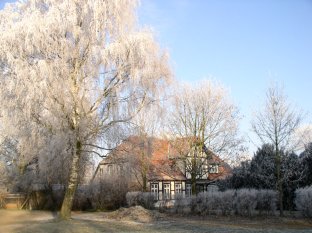 Winterlandschaft 22-12-2007-23.jpg