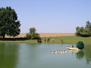 Der Sonnenschirm fiel ins Wasser