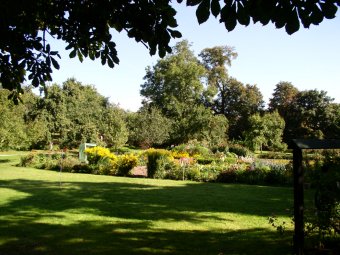 Garten im September 3