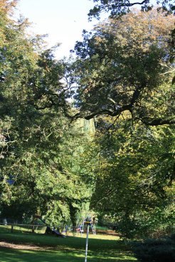 Herbst 1