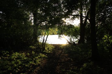 Herbststimmung am Teich