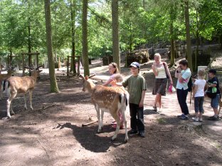 Mit dem Hort in den NUP 2009-1