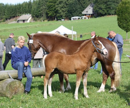 Nency und Willi 1