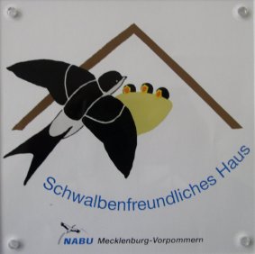 Schwalbenfreundliches Haus 3