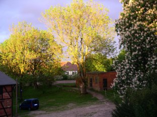 Sonnenspiel im Mai04-2